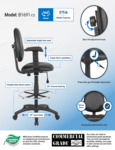 B1691-CS_infograph.pdf B1691-CS_infograph.pdf