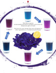 Wild Hibiscus Butterfly Pea Flower Infographic Wild Hibiscus Butterfly Pea Flower Infographic