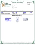Kosher cert_JCBNVFX Beyond Steak - US 2B53-001