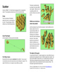 Scatter Instruction Booklet Scatter Instruction Booklet