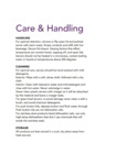 Service Ideas Care and Handling