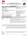 36510080020_Karcher Wet Battery.pdf