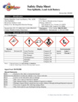 312 AGM SDS 312 AGM SDS