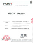 9135817FS SDS Sheet