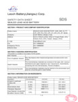 Globe GLS30 Battery SDS