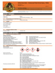 SDS - Patch and Seal Spray - White GOR104054.pdf