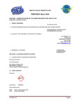 Truex Power Packet SDS Truex Power Packet SDS