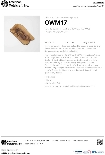 124OWM17_spec