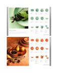 artis and tavola brochure