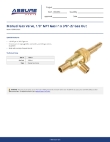 Assure Parts 190GASVLV Specsheet Assure Parts 190GASVLV Specsheet