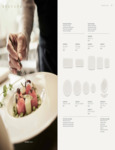 BravuraBoneChina_spec1 BravuraBoneChina_spec1