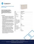 CABANA-BG.pdf CABANA-BG.pdf
