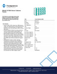 CALICABANA-GRN.pdf CALICABANA-GRN.pdf