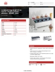 Carnival King 382SBW4 Specsheet