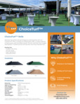 FEXP_Choice_Turf