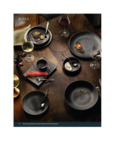 Ignea brochure