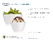 J Cup insulated bowls