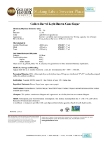 Light Brown Cane Sugar_Spec Sheet
