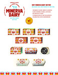 Minerva Sell Sheet