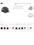 NE207_specsheet NE207_specsheet
