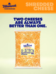 Tillamook Cheddar Jack Sell Sheet