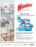 Windex Glass and More Specsheet