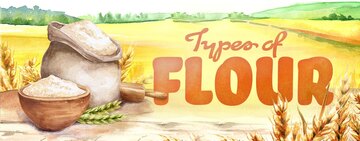 Types of Flour