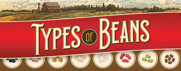 Types of Beans