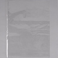 LK Packaging P12F0912 Plastic Food / Candy Bag 9" x 12" - 1000/Box