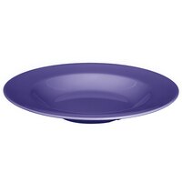 Thunder Group CR5809BU Purple 13 oz. Melamine Salad Bowl - 12/Case