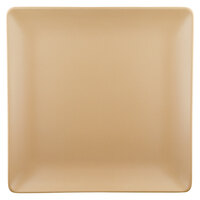 Elite Global Solutions ECO1010SQ Greenovations 10" Paper Bag-Colored Square Plate - 6/Case