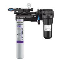 Everpure EV9797-21 Kleensteam II Single Water Filtration System - 5 Micron and 2.5 GPM