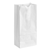 25 lb. Tall White Paper Bag - 500/Bundle