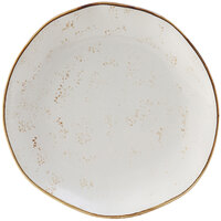 Tuxton GGA-006 TuxTrendz Artisan Geode Agave 10 1/4" China Plate - 12/Case