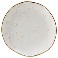 Tuxton GGA-005 TuxTrendz Artisan Geode Agave 9" China Plate   - 24/Case