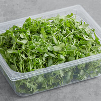 Fresh Baby Arugula 3 lb.