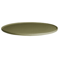 G.E.T. Enterprises DR203-MOD-WG Bugambilia 15 3/4" Smooth MOD Finish Willow Green Resin-Coated Aluminum Medium Round Disc with Rim