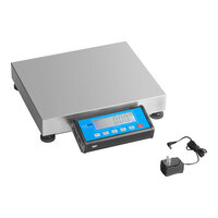 AvaWeigh BS70 70 lb. Receiving Scale with 14" x 12" Platform, Legal for Trade