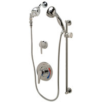 Zurn Elkay Z7301-SS-MT-DV-2P-HW Temp Gard Shower Unit with Wall Head, Handheld Head, and Mounting Slide Bar