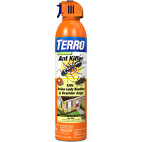 Terro T1700-6 19 oz. Outdoor Ant Killer Spray