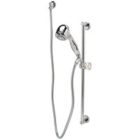 Zurn Elkay Z7000-HW Temp-Gard Handheld Shower with 60" Metal Hose and 24" Mounting Bar - 2.5 GPM