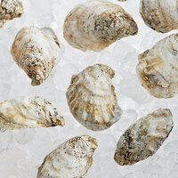 Rappahannock Oyster Co. Live Rappahannock River Oysters - 300/Case