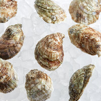 Rappahannock Oyster Co. Live Olde Salt Oysters - 300/Case