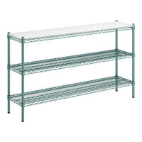 Regency 14" x 60" x 34" NSF Green Epoxy 3-Shelf Kit with Removable Plastic Shelf