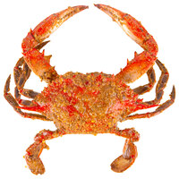 Chesapeake Crab Connection Medium 5 1/2" - 6" Extra Seasoned Steamed Blue Crab - 12/Case