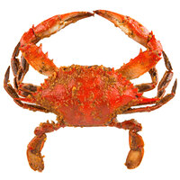 Chesapeake Crab Connection Medium 5 1/2" - 6" Seasoned Steamed Blue Crab - 12/Case