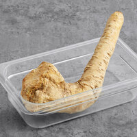 Fresh Whole Horseradish 5 lb.