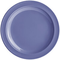 Acopa Foundations 10" Purple Narrow Rim Melamine Plate - Sample