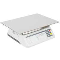 Cardinal Detecto RP30S 30 lb. Rotating Digital Ingredient Scale with Rectangular Platform