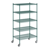 Regency 24" x 36" x 70" NSF Green Epoxy Mobile Wire Shelving Starter Kit with 5 Shelves